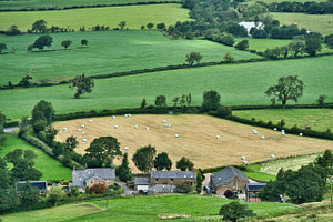 Farms are not just a business, it's a legacy