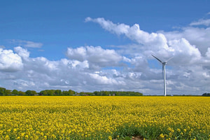 Renewable Energy and sustainability Agriculture Finance